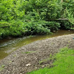 Fairview Historical Society Museum - Fairview