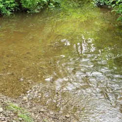 Fairview Historical Society Museum - Fairview