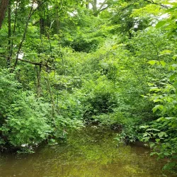 Fairview Historical Society Museum - Fairview