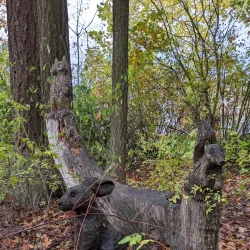 Fairview Trail System - Fairview