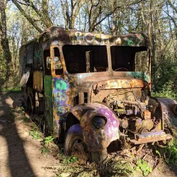 Gresham Butte Saddle Trail - Gresham