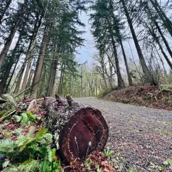 Gresham Butte Saddle Trail - Gresham