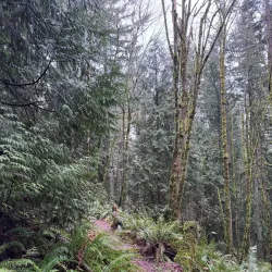 Gresham Butte Saddle Trail - Gresham