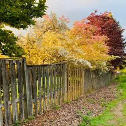 Gresham Butte Saddle Trail - Gresham