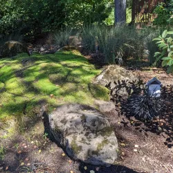 Gresham Japanese Garden - Gresham