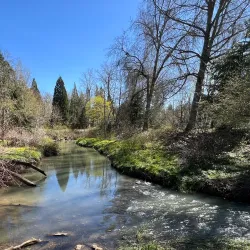 Gresham Japanese Garden - Gresham