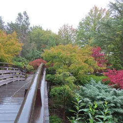 Gresham Japanese Garden - Gresham