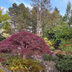 Gresham Japanese Garden - Gresham