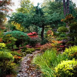 Gresham Japanese Garden - Gresham