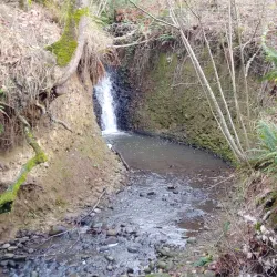 Kelly Creek Park - Gresham