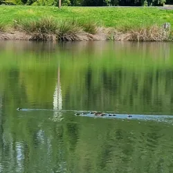 Kelly Creek Park - Gresham