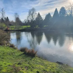 Kelly Creek Park - Gresham