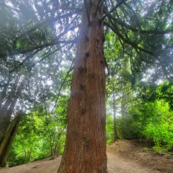 Kelly Creek Park - Gresham