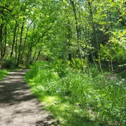 Kelly Creek Park - Gresham