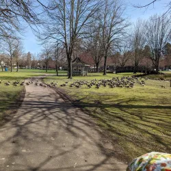 Lusted Hill Park - Gresham