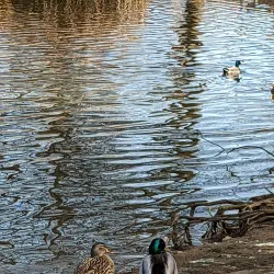 Lusted Hill Park - Gresham