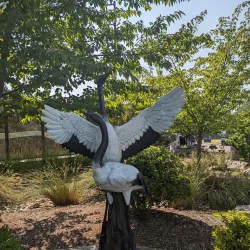 Main City Park - Gresham