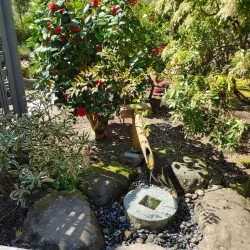 Main City Park - Gresham