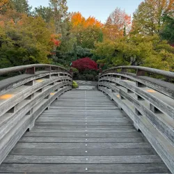 Main City Park - Gresham