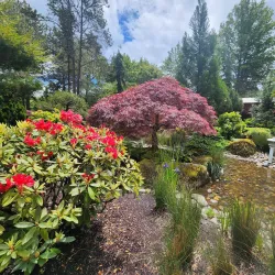 Main City Park - Gresham