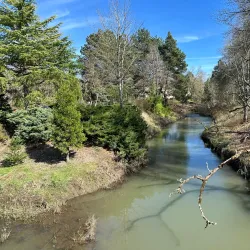 Main City Park - Gresham