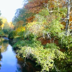 Main City Park - Gresham