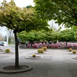 Mount Hood Community College Arboretum - Gresham