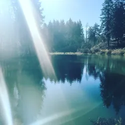 Mount Hood Community College Arboretum - Gresham