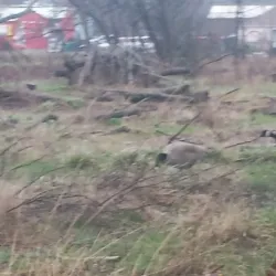 Springwater Corridor Trail - Gresham