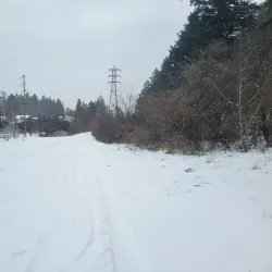Springwater Corridor Trail - Gresham