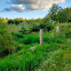Springwater Corridor Trail - Gresham