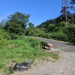 Springwater Corridor Trail - Gresham