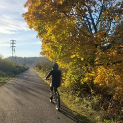 Springwater Corridor Trail - Gresham