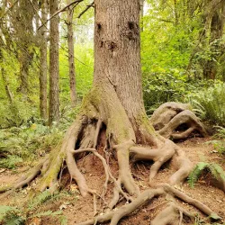 East Happy Valley Trailhead - Happy Valley