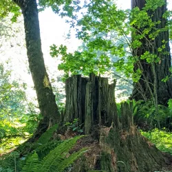 East Happy Valley Trailhead - Happy Valley