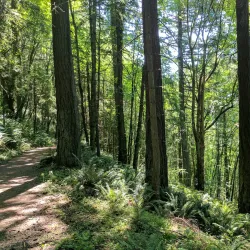 East Happy Valley Trailhead - Happy Valley