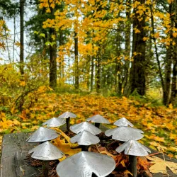 East Happy Valley Trailhead - Happy Valley