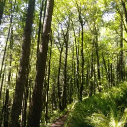 East Happy Valley Trailhead - Happy Valley