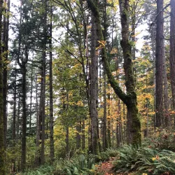 East Happy Valley Trailhead - Happy Valley