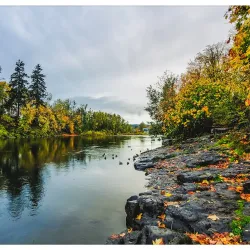Gladstone Community Park - Happy Valley