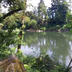 Gladstone Community Park - Happy Valley