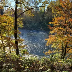 Gladstone Community Park - Happy Valley