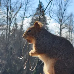 Gladstone Community Park - Happy Valley