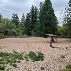 Happy Valley Dog Park - Happy Valley