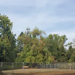 Happy Valley Dog Park - Happy Valley