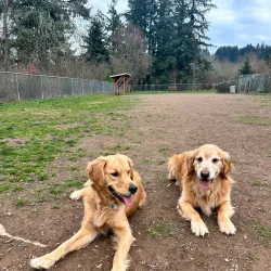 Happy Valley Dog Park - Happy Valley