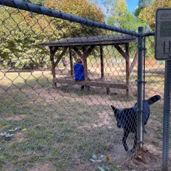 Happy Valley Dog Park - Happy Valley