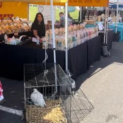 Happy Valley Farmers Market - Happy Valley