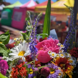 Happy Valley Farmers Market - Happy Valley