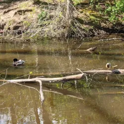 Happy Valley Park - Happy Valley